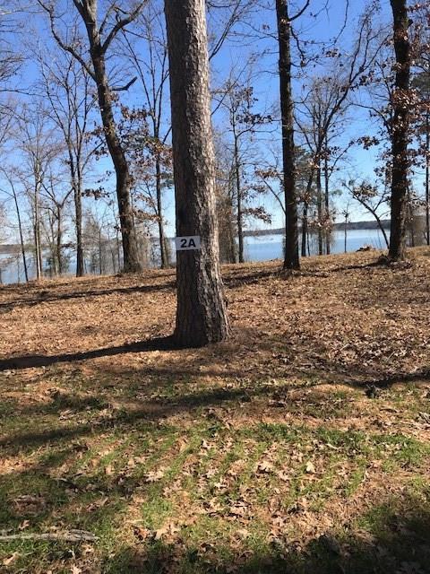 02A Indian Marker Tree Road - Photo 1