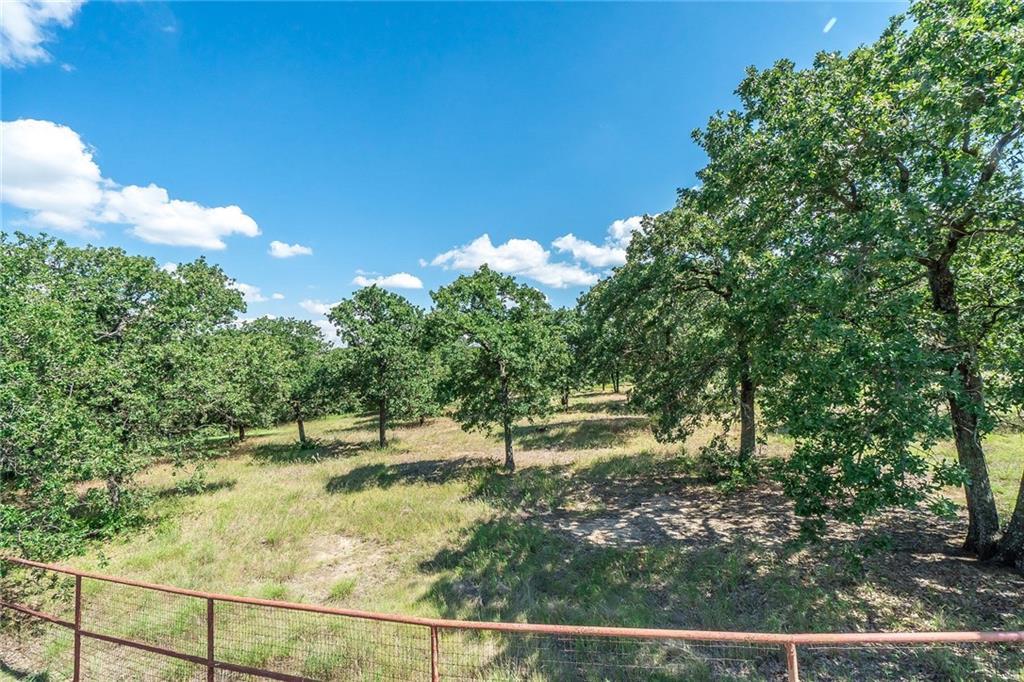1 Doe Branch Road - Photo 1
