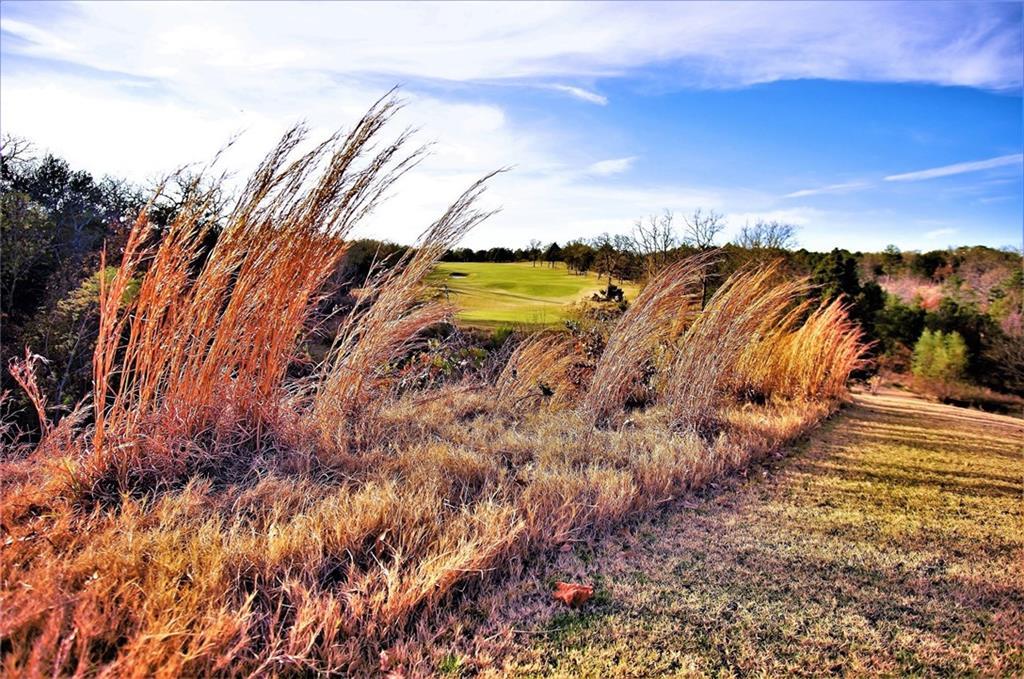 Lot 13 La Paloma Circle - Photo 1