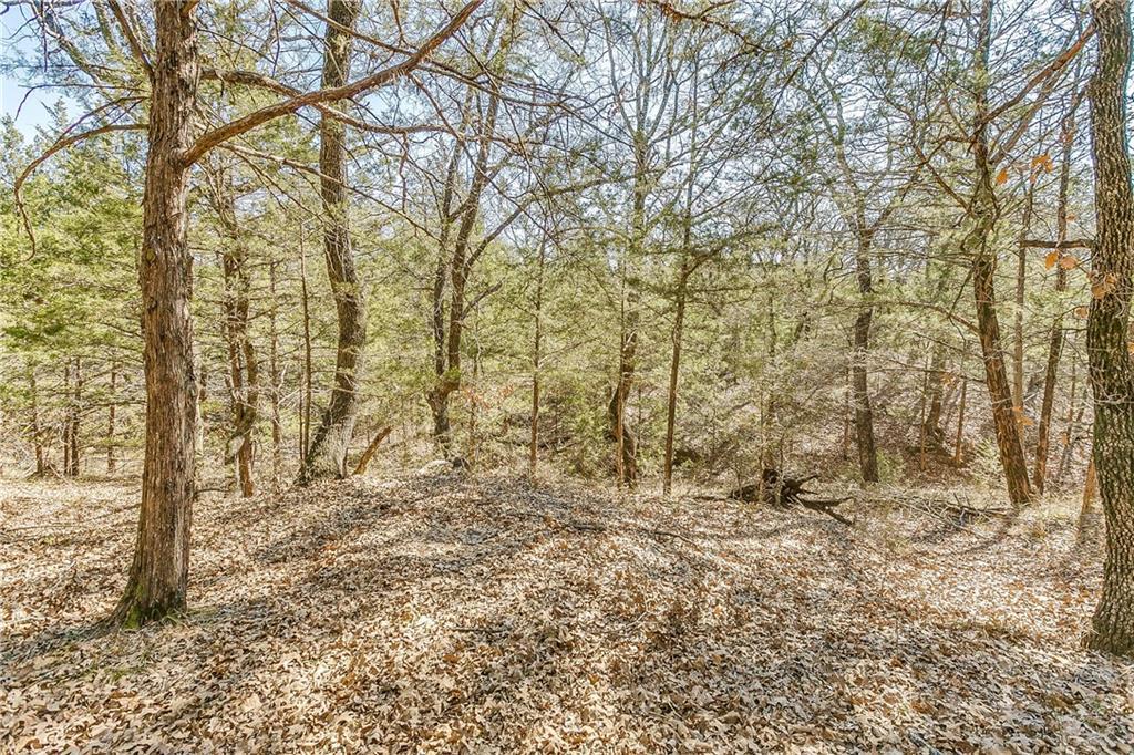 Lot 5 Coyote Creek Drive - Photo 1