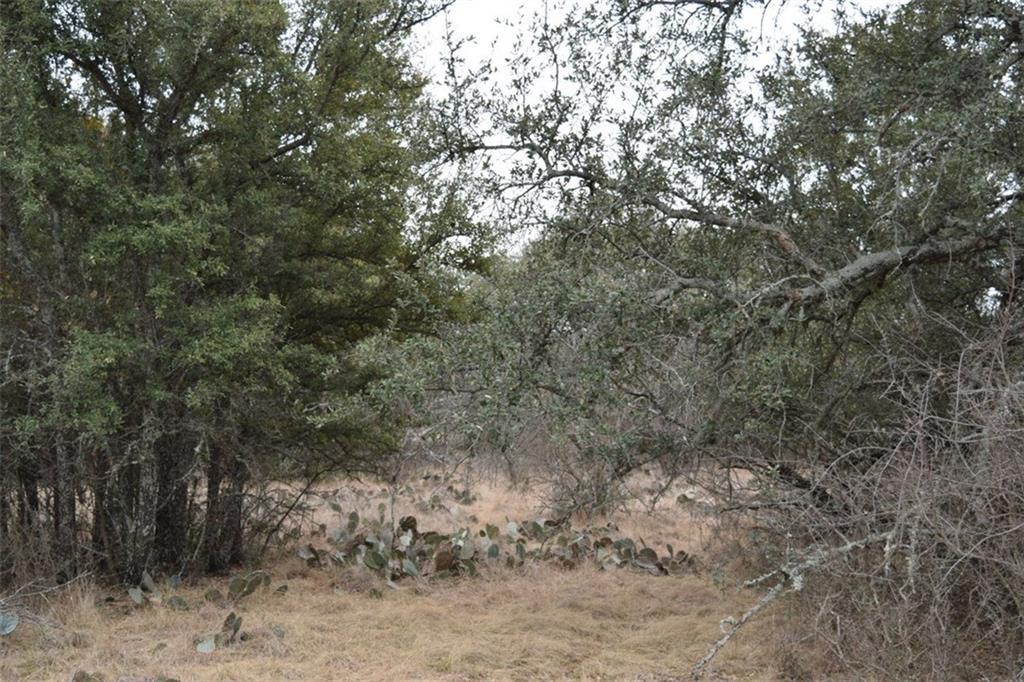9998 County Road 574 - Photo 1