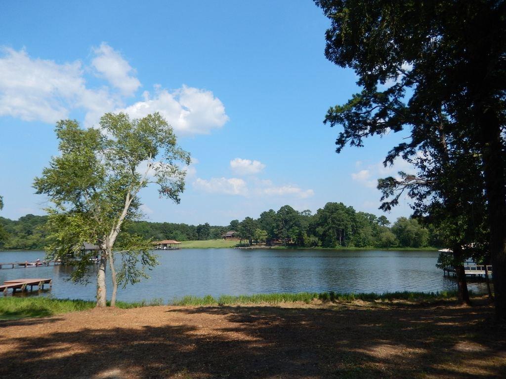 11535 Drakes Landing - Photo 1