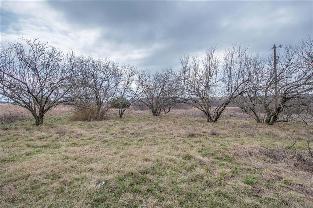 12944 Cresson Highway - Photo 1