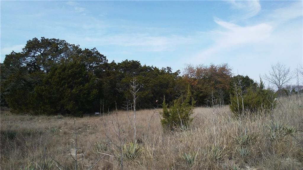 4905 Peachtree Circle - Photo 1