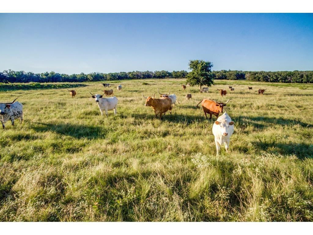 775 6T Road - Photo 1