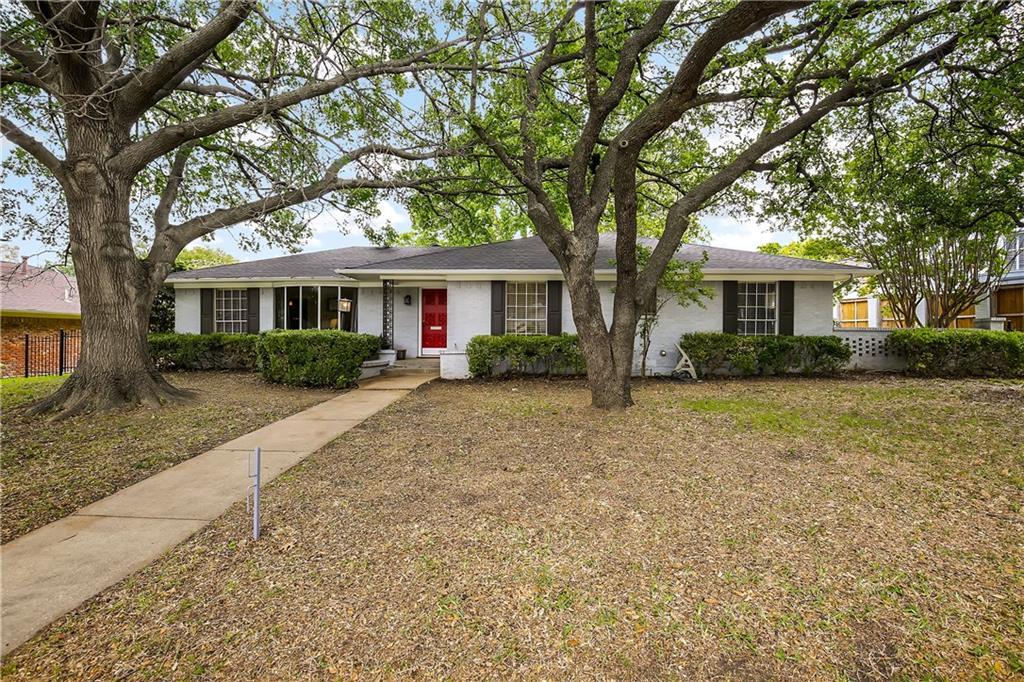 10224 Boedeker Street - Photo 1