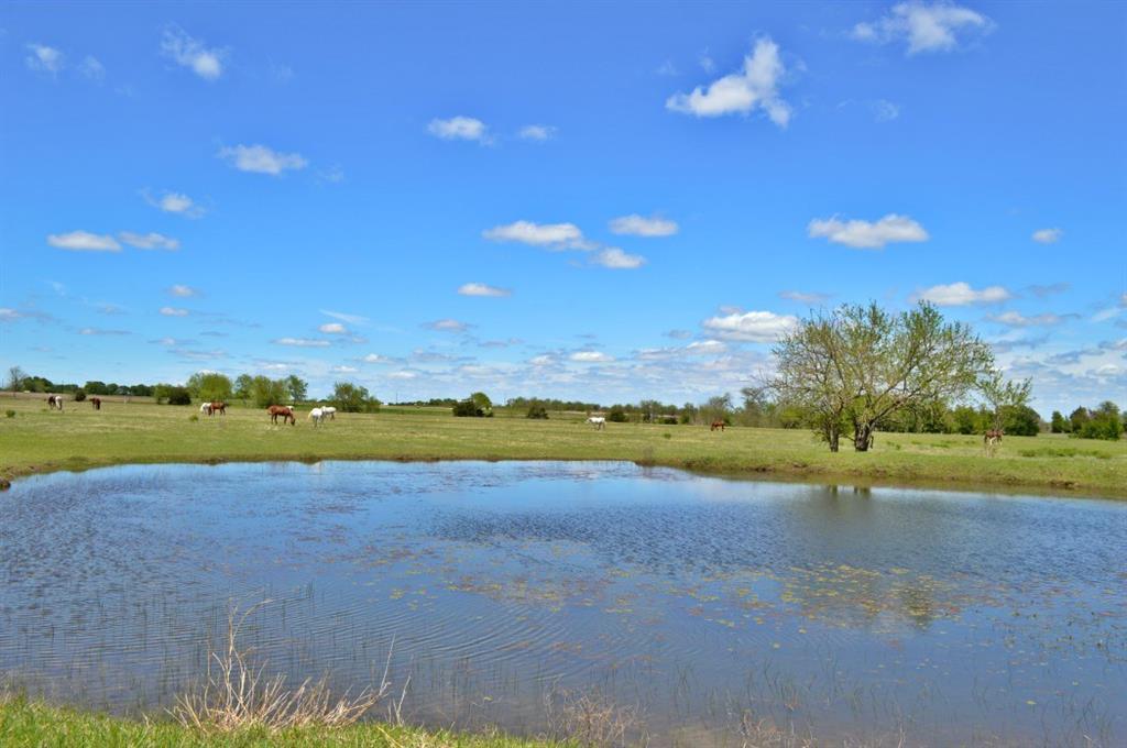 TBD County Rd 1245 - Photo 1