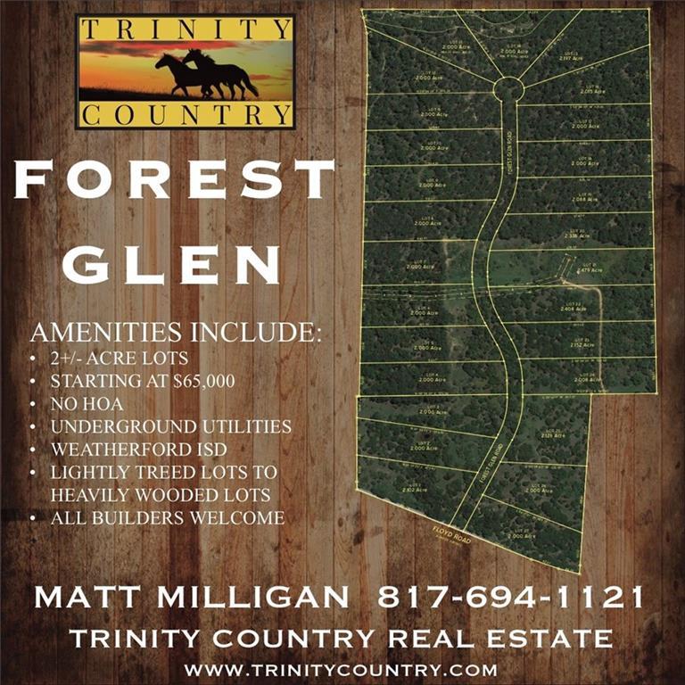Lot 20 Forest Glen Road - Photo 1