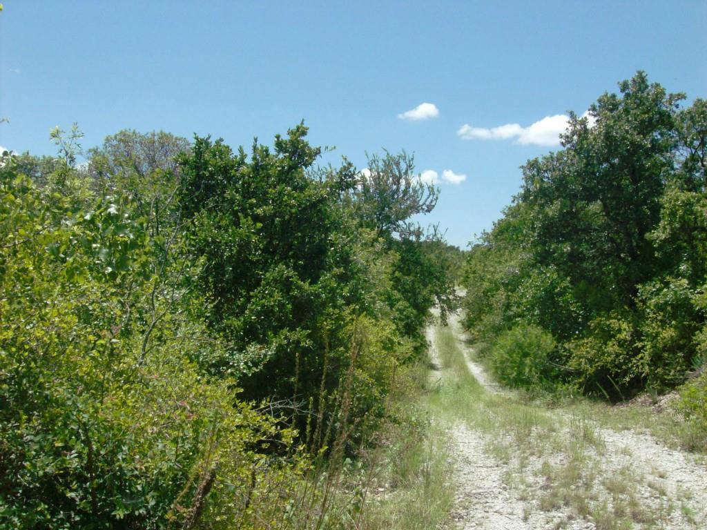 00 Hutcheson Hill - Photo 1