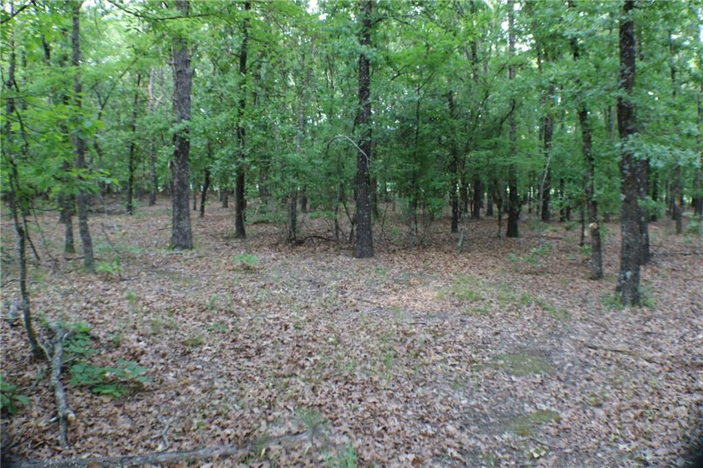 TBD Rs County Road 3345 - Photo 1