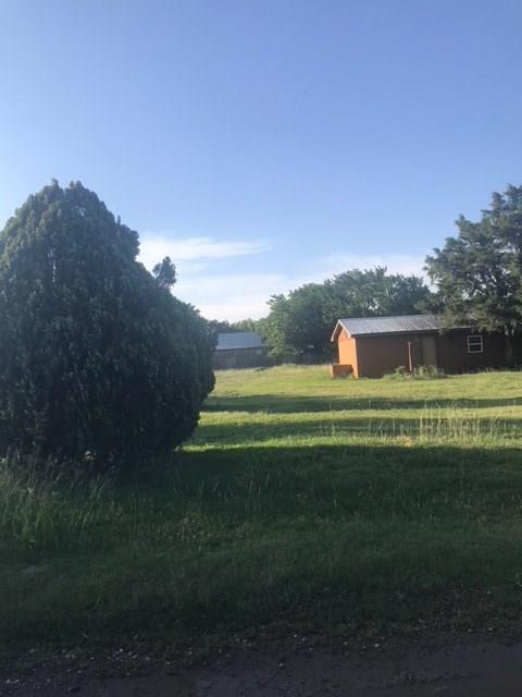 12016 Joyce Lane - Photo 1