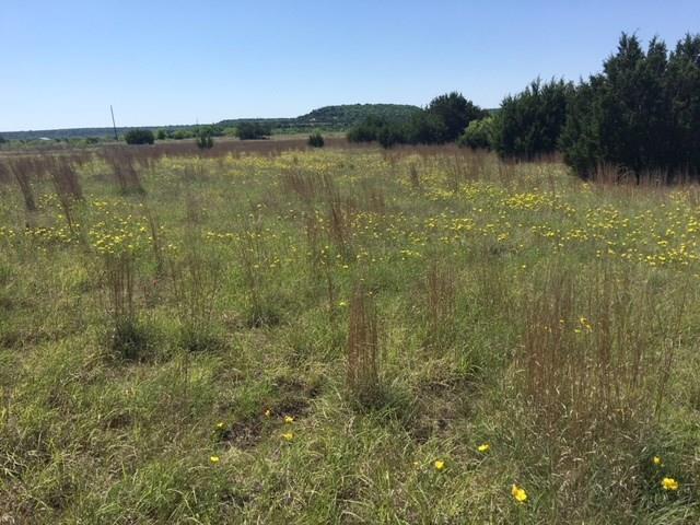 3 County Road 234 - Photo 1