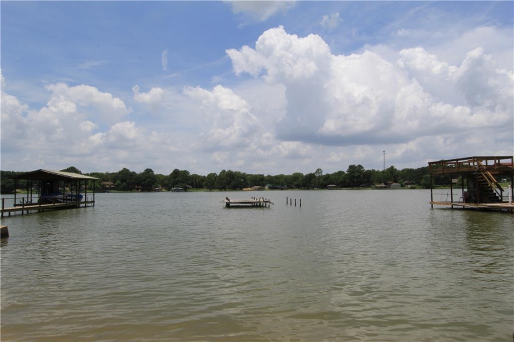 423 Pleasure Land Road - Photo 1