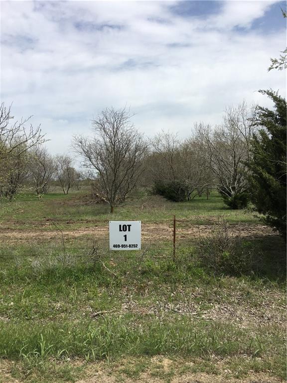 Lot 1 Welch School Road - Photo 1