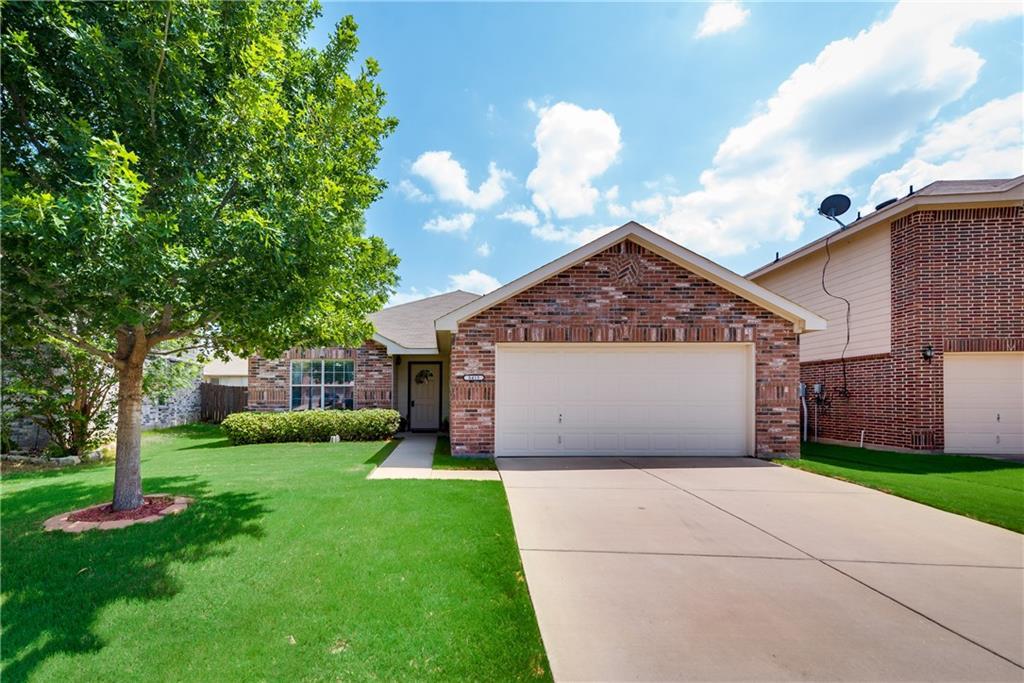 8413 Star Thistle Drive - Photo 1