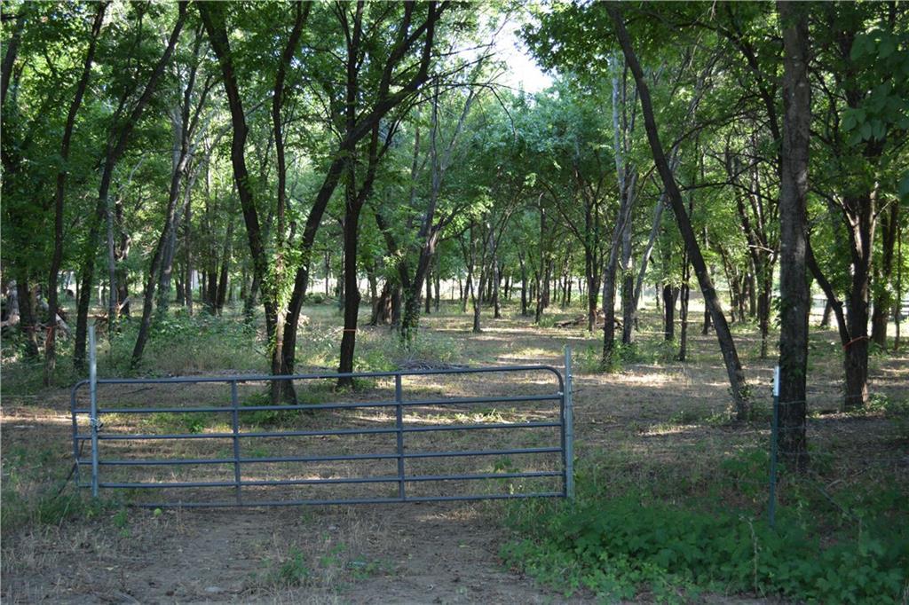 7804 Randol Mill Road - Photo 1