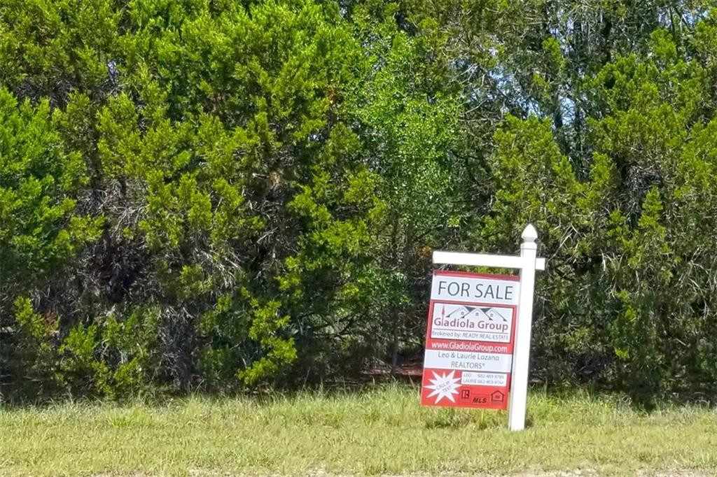 25018 Chisholm Trail - Photo 1