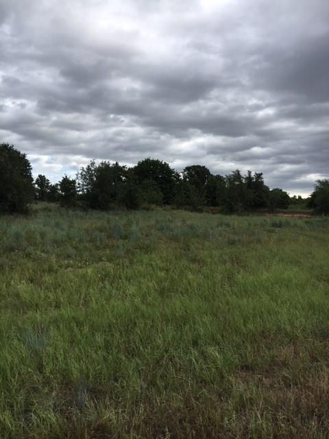 115 Oak Tree Drive - Photo 1