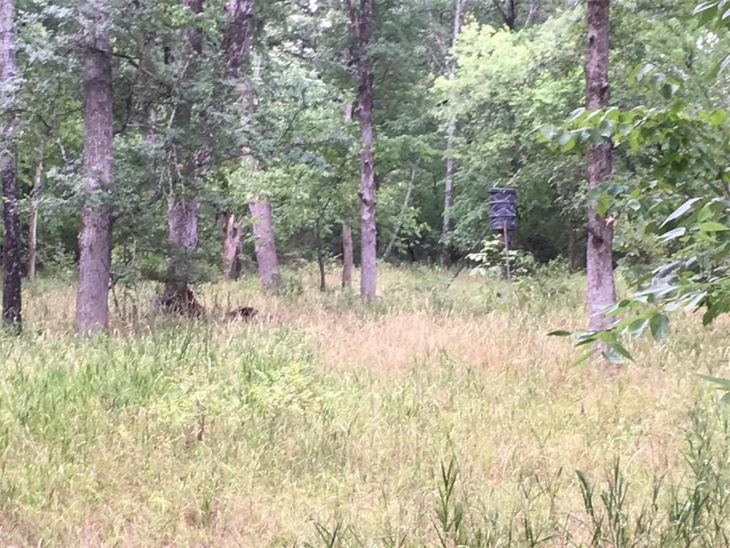 0000 County Rd 4727 - Photo 1