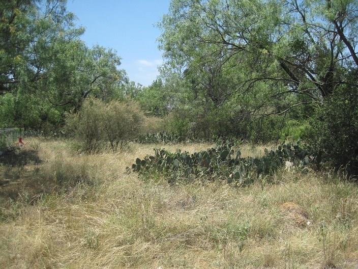 TBD Green Valley Lane - Photo 1