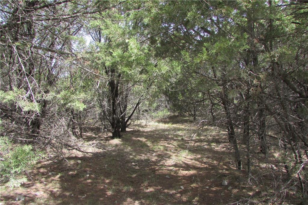 TBD County Road 1105 - Photo 1