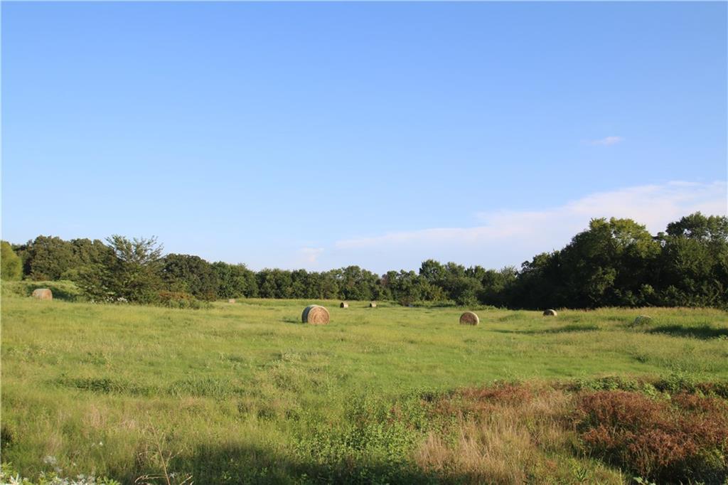 Lot 1 Fm 1563 - Photo 1