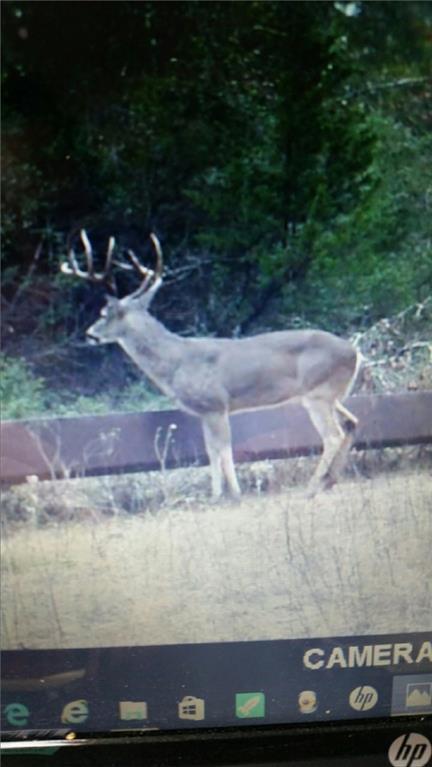 TBD Fcr 691 - Photo 1