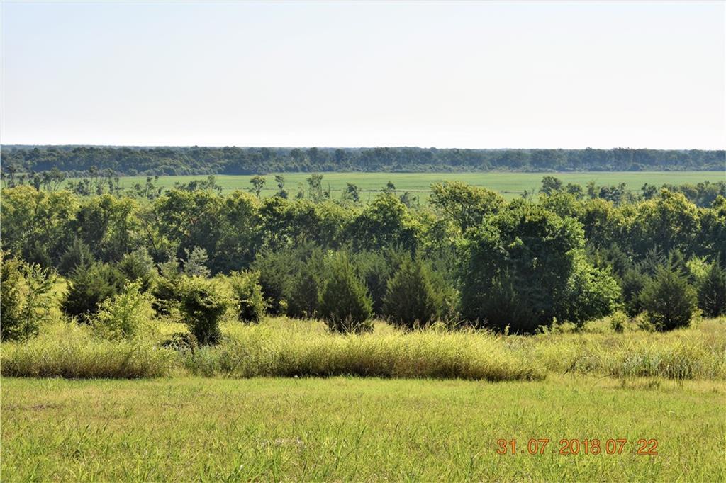 TBD County Road 4395 - Photo 1