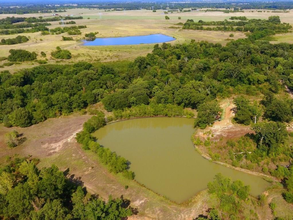 295 County Road 3541 - Photo 1