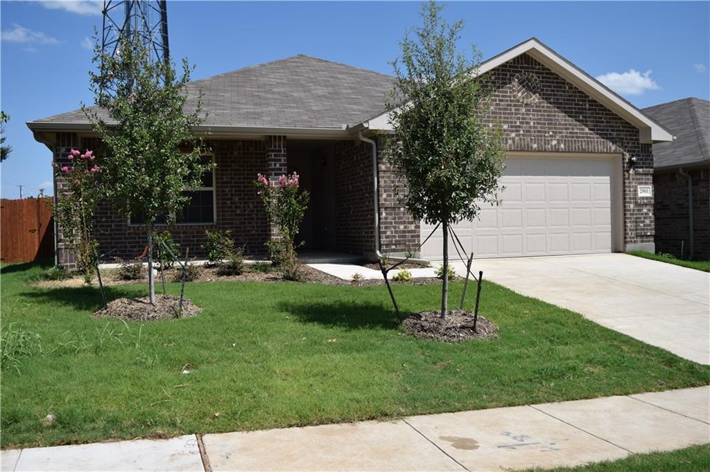 2901 Wispy Trail - Photo 1
