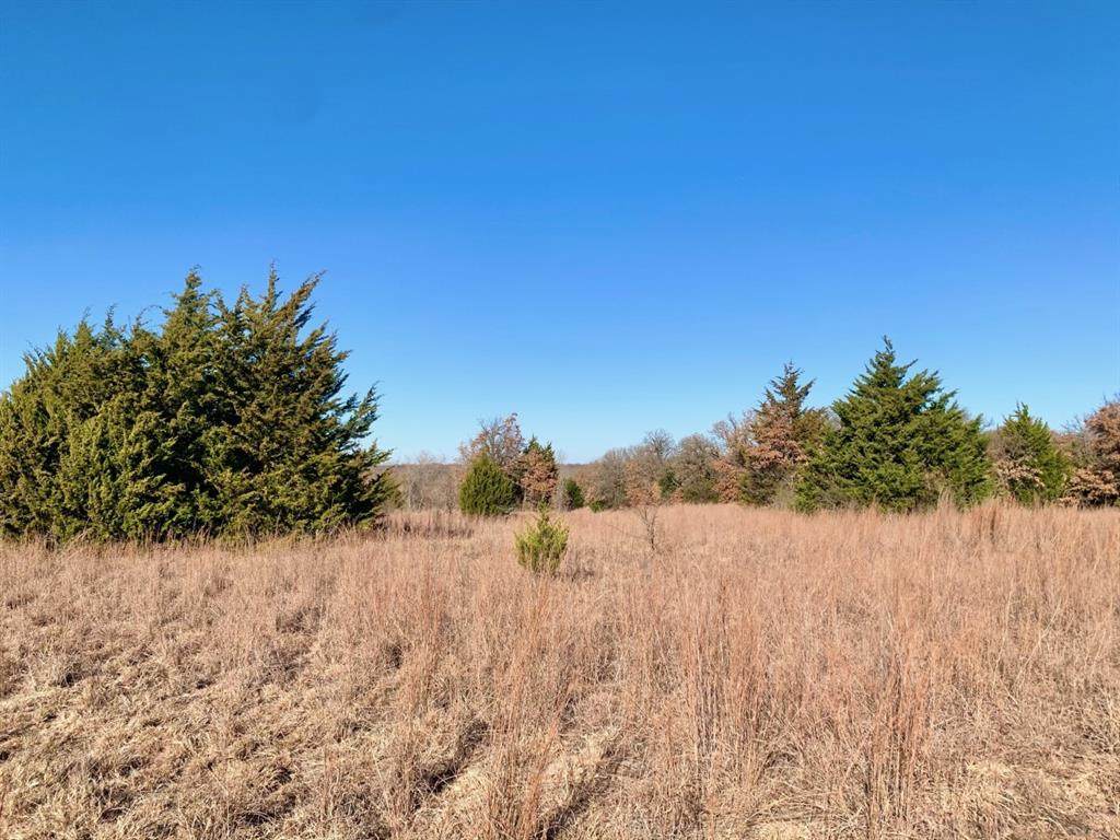 000 W. Bypass 287 - Photo 1