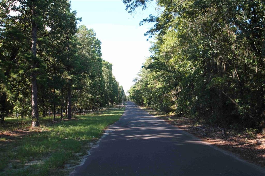 590 Fm 2869 - Photo 1