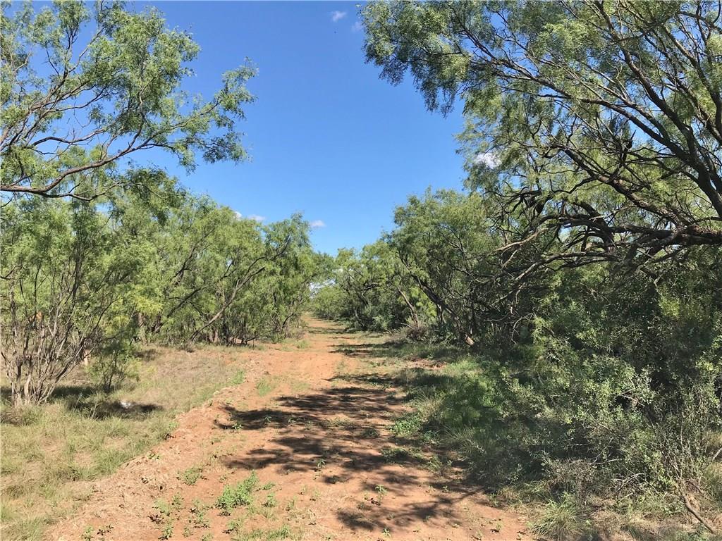 3 Saddle Lane - Photo 1