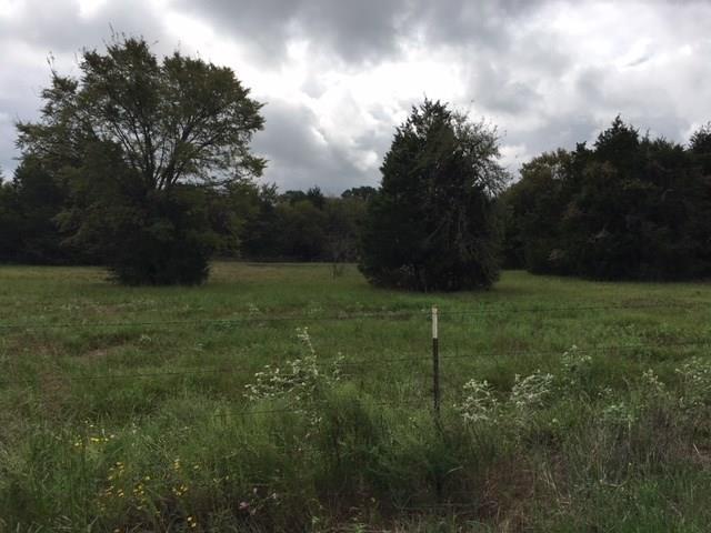 TBD Us Hwy 84 - Photo 1