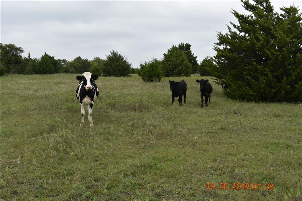 10 County Rd 1110 - Photo 1