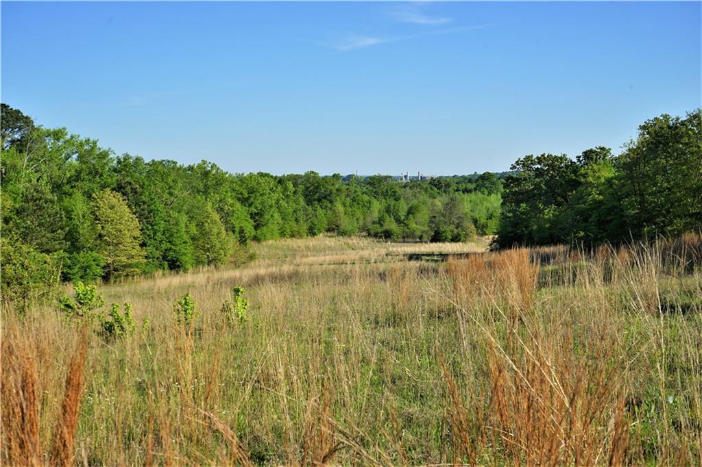12733 County Road 431 - Photo 1