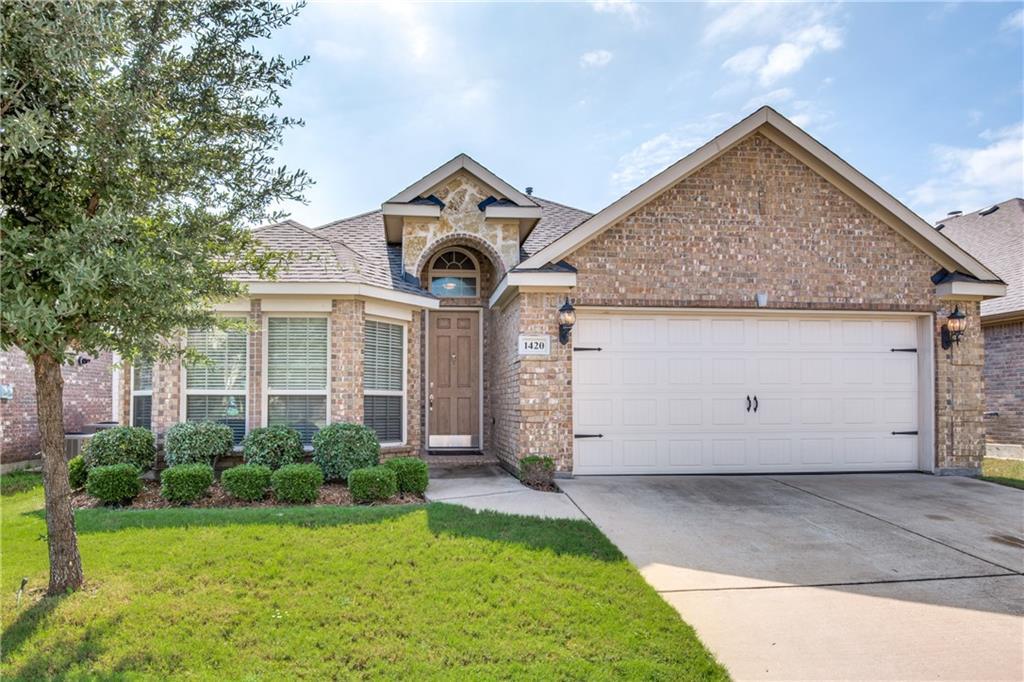 1420 Soaptree Lane - Photo 1