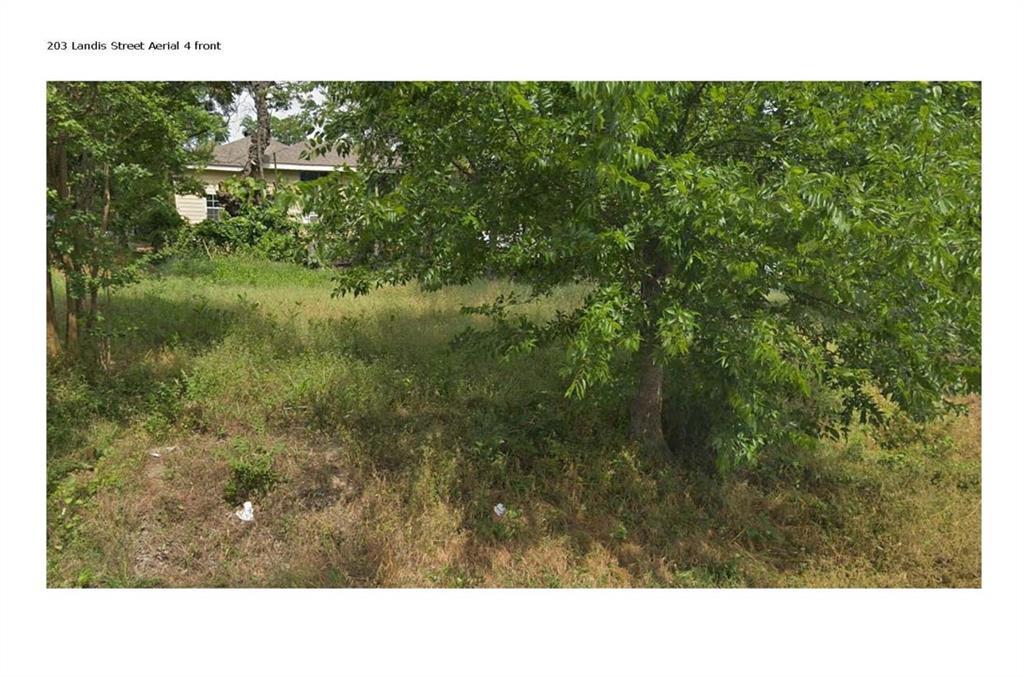 203 Landis Street - Photo 1
