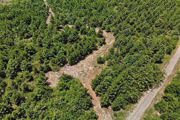112 Acres Cr 2220 - Photo 1