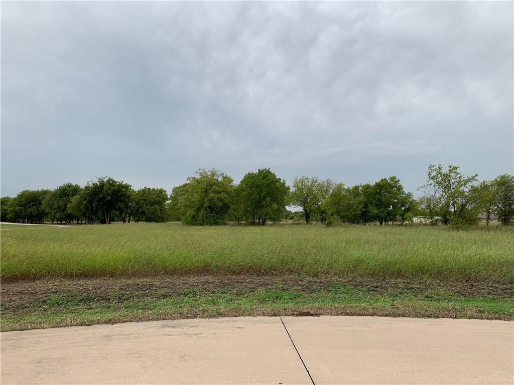 Lot 9 Mane Court - Photo 1