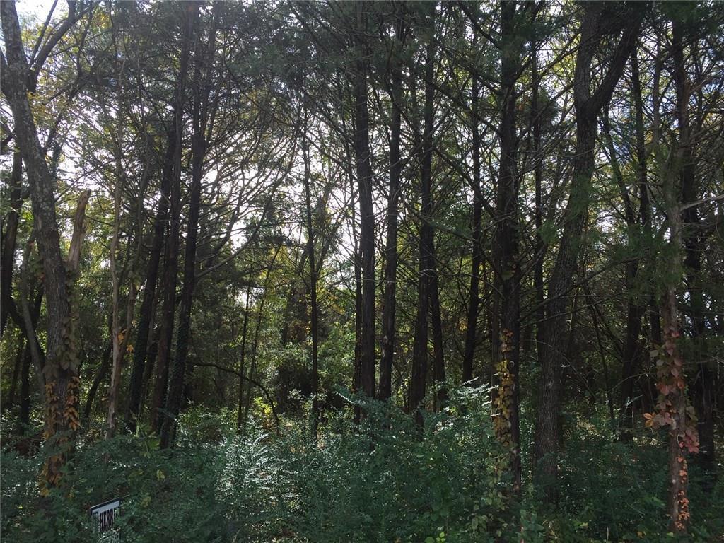TBD Arapaho Drive - Photo 1