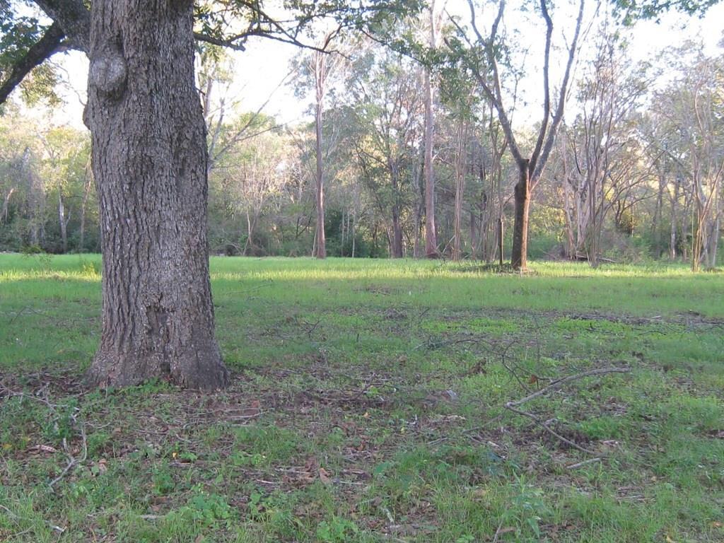 Lot 2 Kickapoo Street - Photo 1