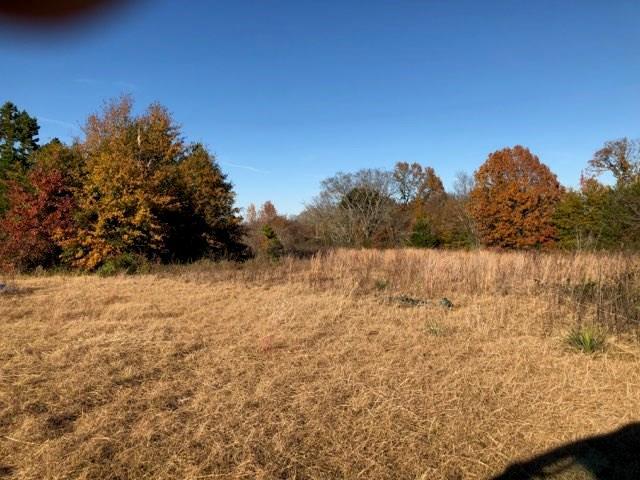 19820 County Road 444 - Photo 1