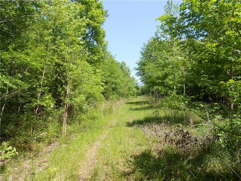 Tract Triple Creek Road - Photo 1