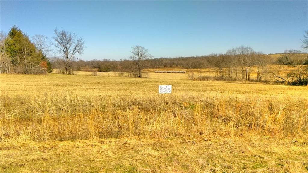 LOT 17 Private Rd 7017 - Photo 1