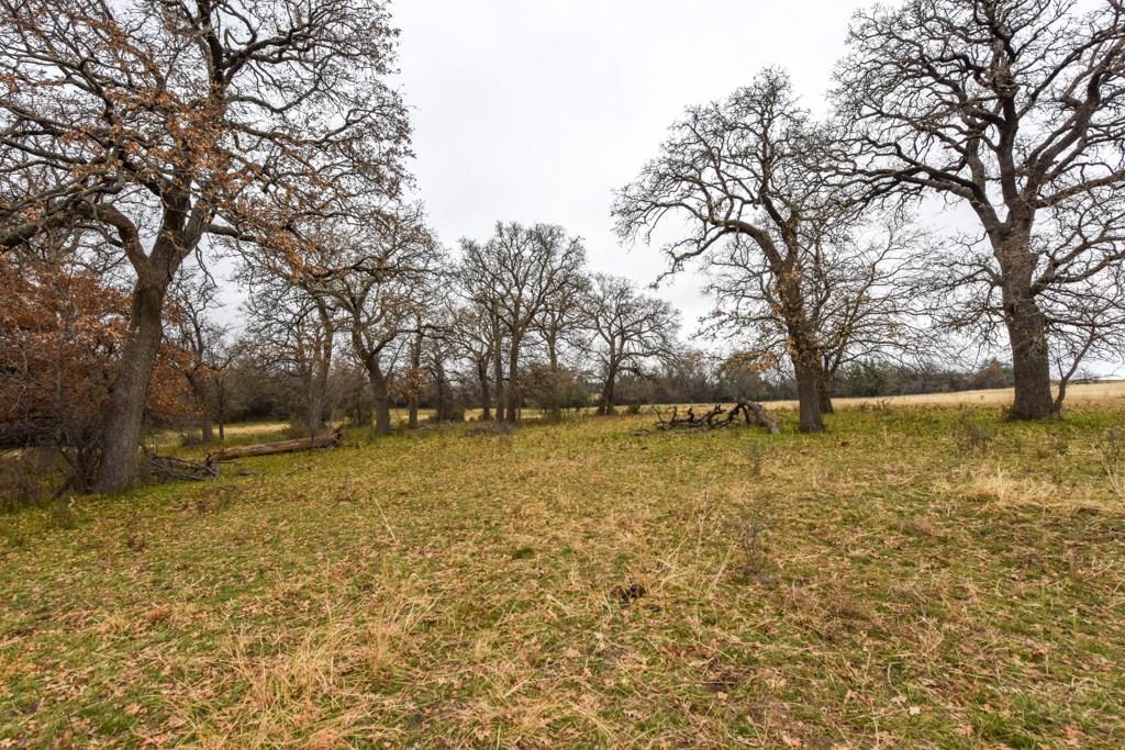 TBD Farm To Market 219 - Photo 1