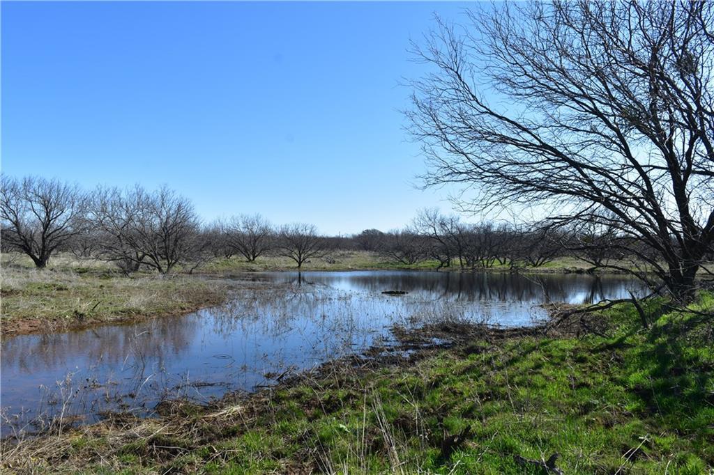 Tr 2 Davis Rd - Photo 1