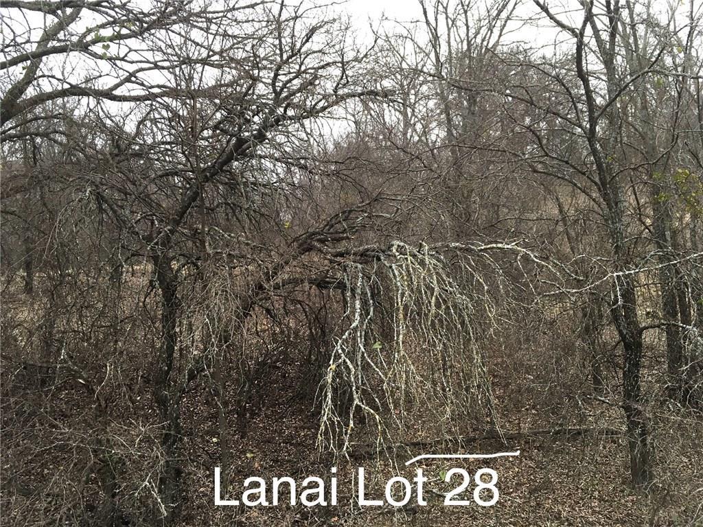 Lot 28 Lanai Drive - Photo 1