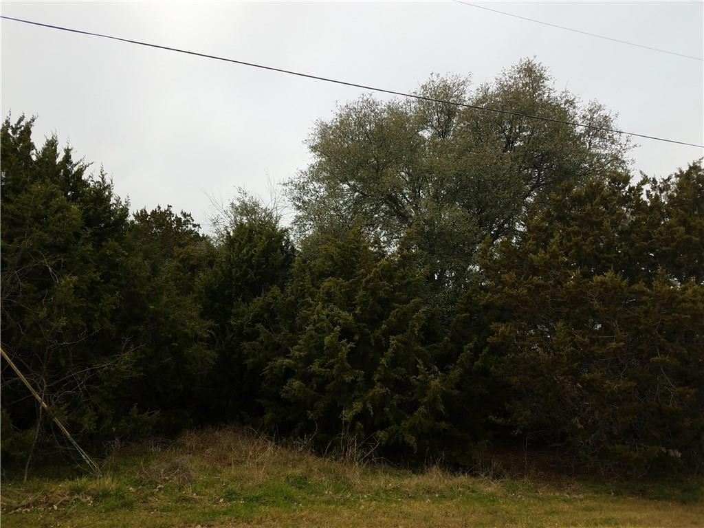 13036 Eagles Nest Drive - Photo 1