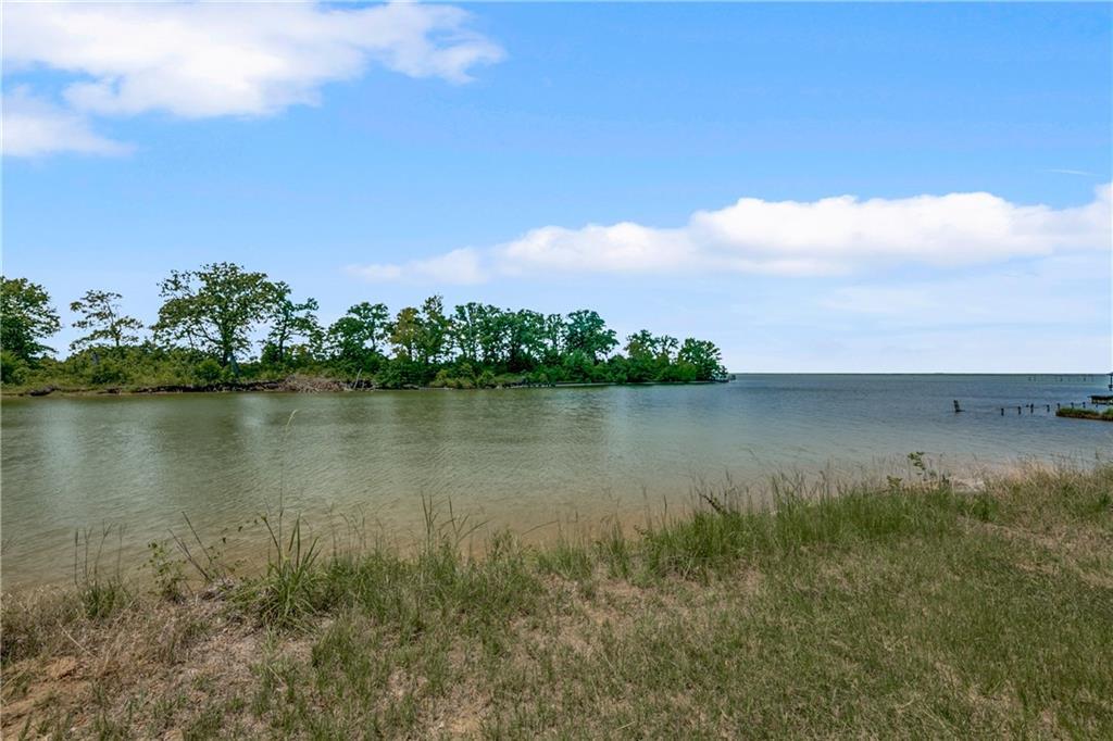 Lot 56 Shiloh Road - Photo 1